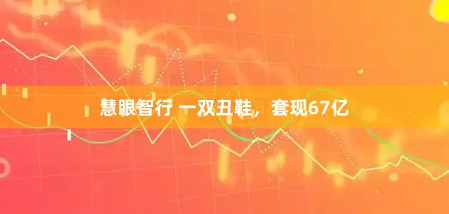 慧眼智行 一双丑鞋，套现67亿