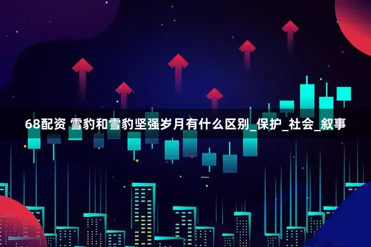 68配资 雪豹和雪豹坚强岁月有什么区别_保护_社会_叙事