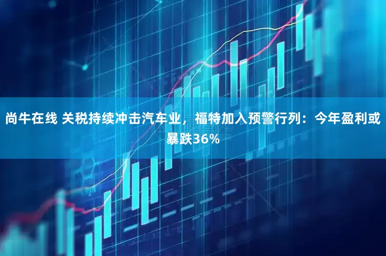 尚牛在线 关税持续冲击汽车业，福特加入预警行列：今年盈利或暴跌36%
