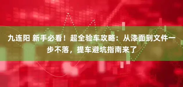 九连阳 新手必看！超全验车攻略：从漆面到文件一步不落，提车避坑指南来了