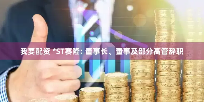 我要配资 *ST赛隆: 董事长、董事及部分高管辞职