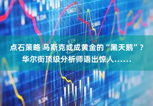 点石策略 马斯克或成黄金的“黑天鹅”？华尔街顶级分析师语出惊人……