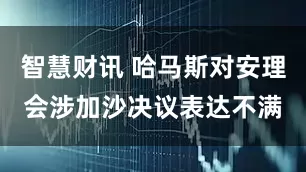智慧财讯 哈马斯对安理会涉加沙决议表达不满